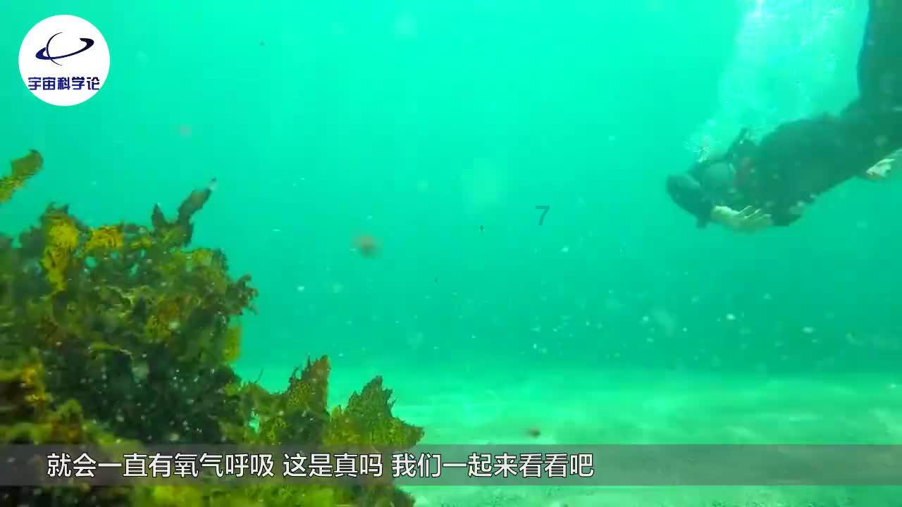 幻世录2