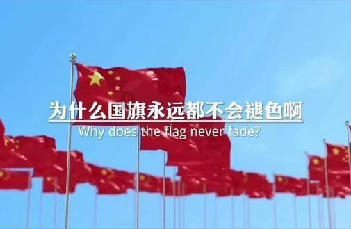 饿狮救援